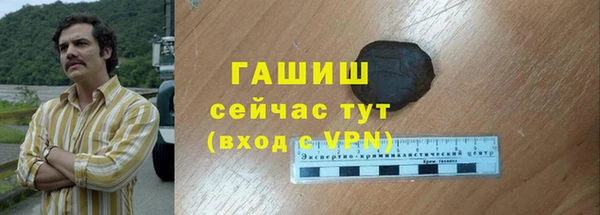 сатива Армянск