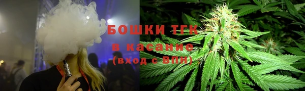 сатива Армянск