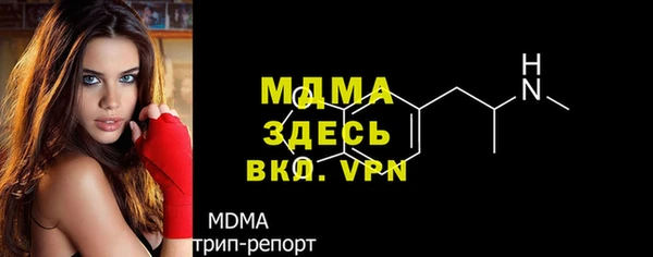 шишки Дмитриев