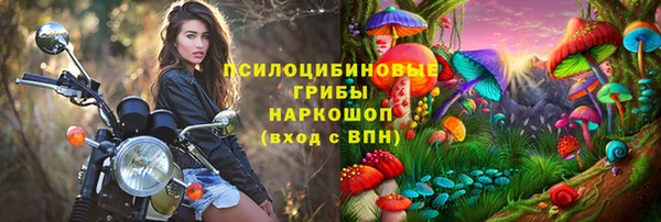 сатива Армянск