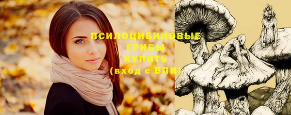 экстази Аркадак