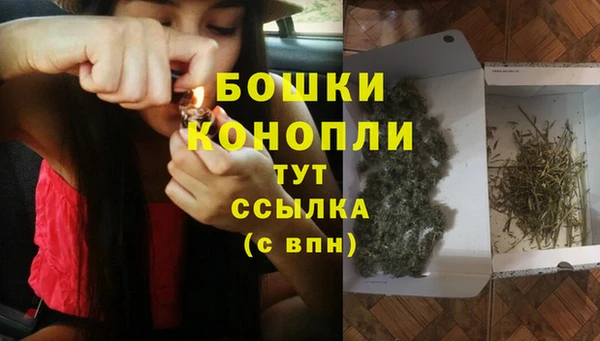 сатива Армянск