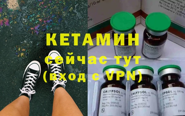сатива Армянск