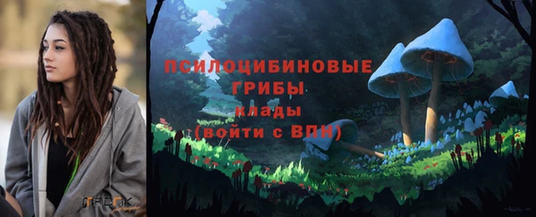 прущие крисы Кодинск